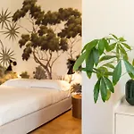 Marconi Apartment Portoferraio